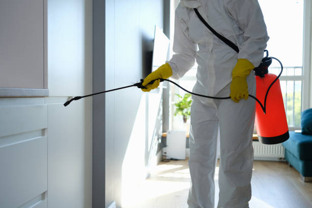 Biohazard Mold Removal in Statesboro, GA